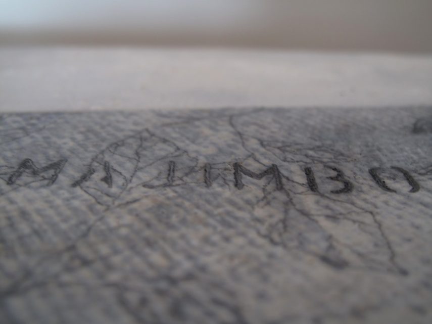 L'improbable (occimum gratissimum)